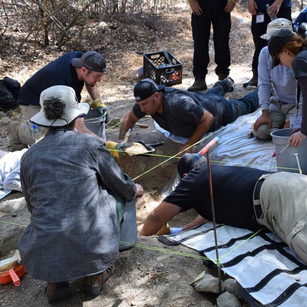 Forensic students learning in the field