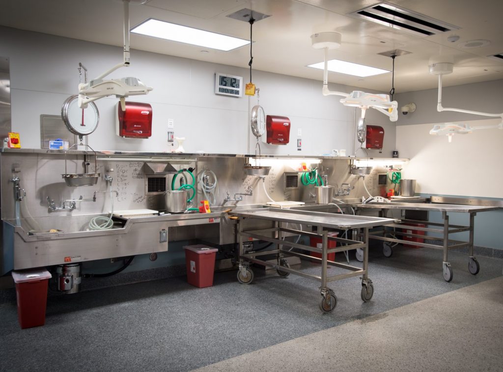 Autopsy tables at the Los Angeles County Department of Medical Examiner-Coroner.