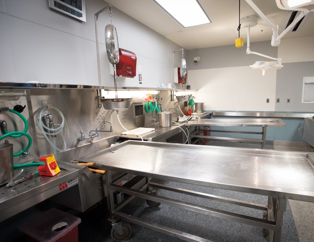 An autopsy table at the Los Angeles County Department of Medical Examiner-Coroner.